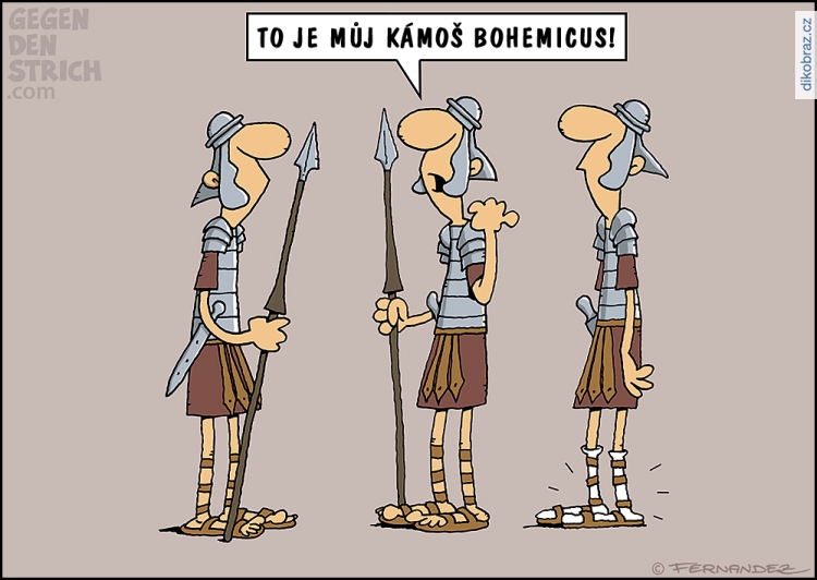 Miguel Fernandez vtipy č.105773 - 