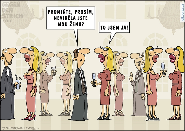 Miguel Fernandez vtipy č.105779 - 