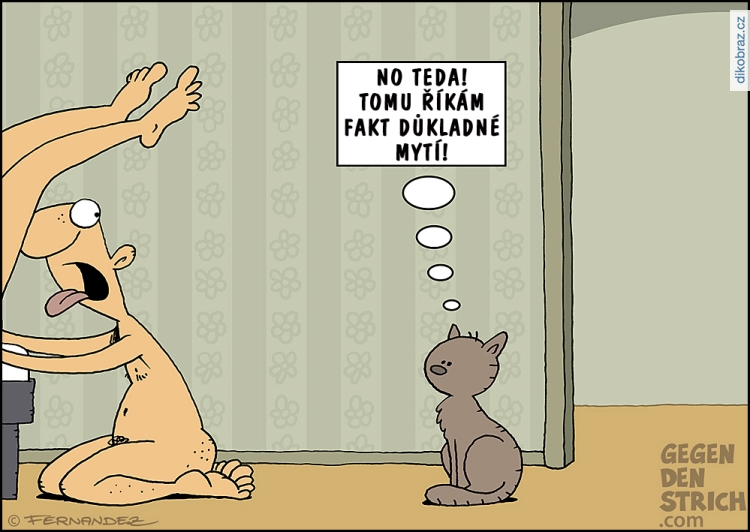 Miguel Fernandez vtipy č.105785 - 