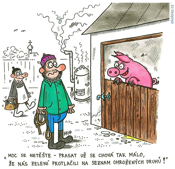 Milan Kocmánek vtipy č.55982 - 