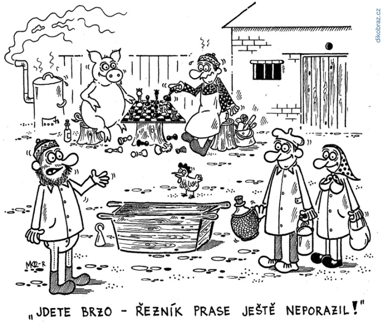 Milan Kocmánek vtipy č.55984 - 