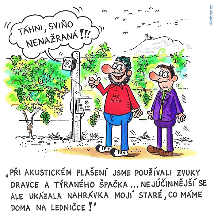 Milan Kocmánek vtipy č.55998 - 