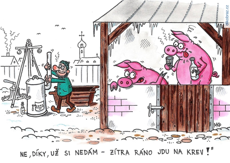 Milan Kocmánek vtipy č.55999 - 