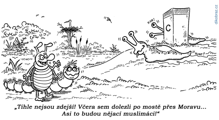 Milan Kocmánek vtipy č.56008 - 