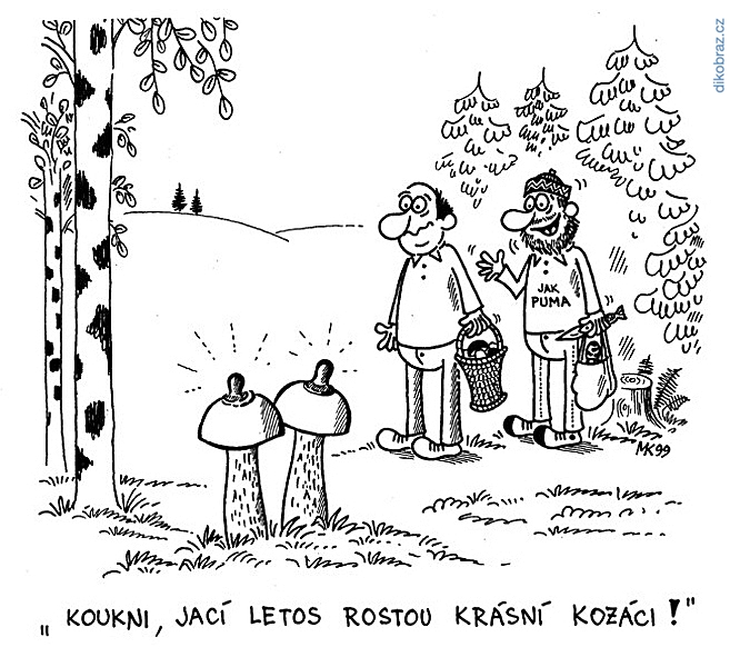 Milan Kocmánek vtipy č.56051 - 