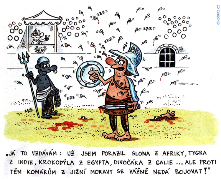 Milan Kocmánek vtipy č.56093 - 