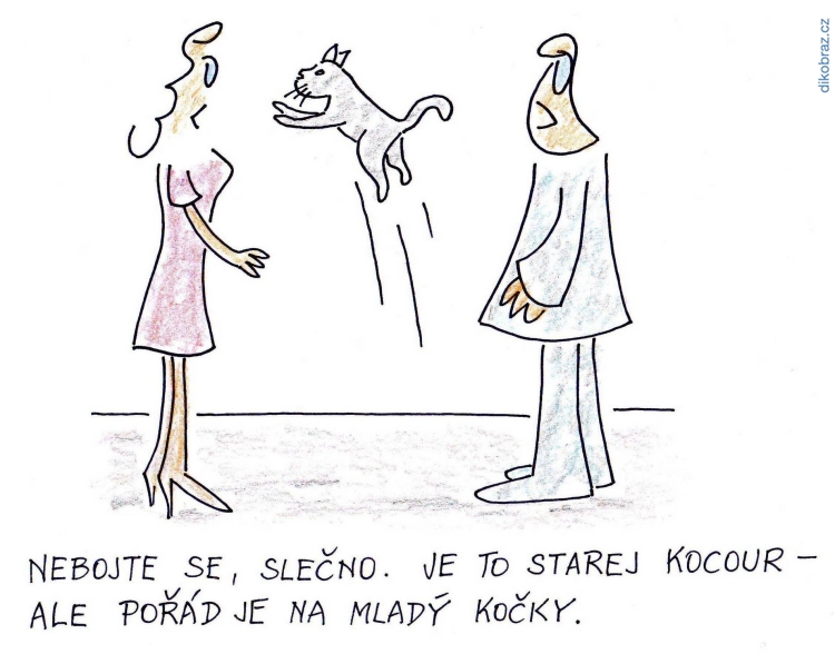 Miloš Krmášek vtipy č.1479 - 