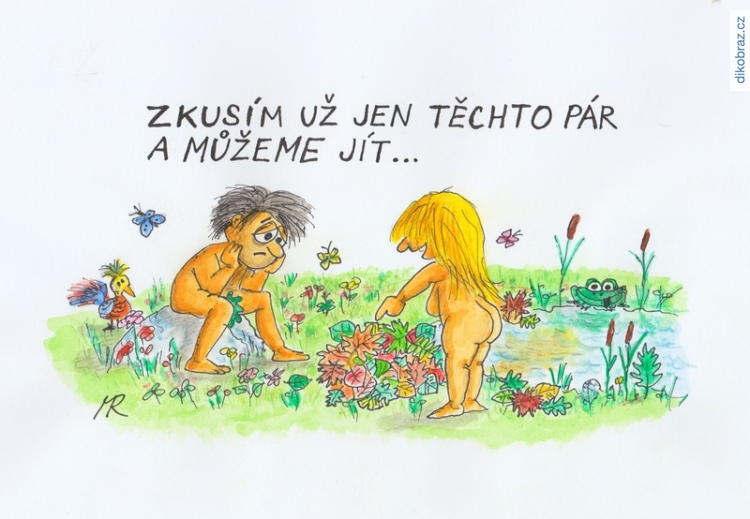 Miloš Randák vtipy č.63218 - 