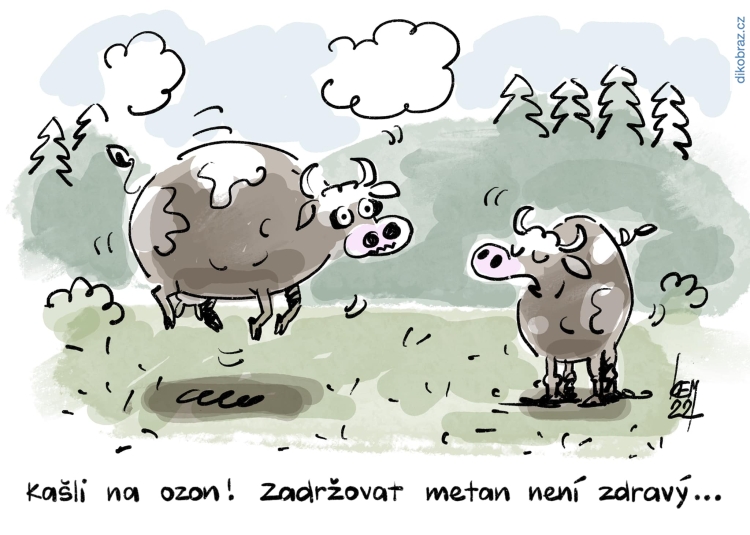 Miroslav Kemel vtipy č.54622 - 