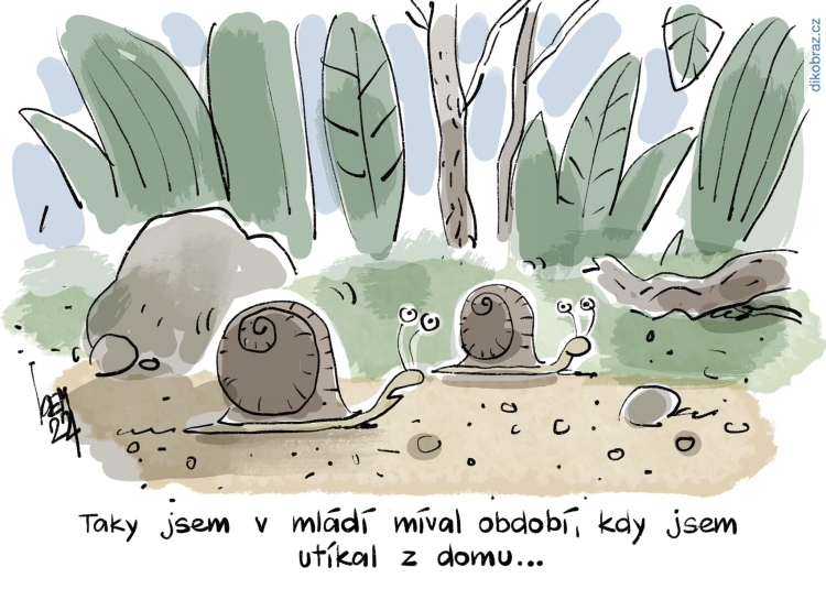 Miroslav Kemel vtipy č.54624 - 