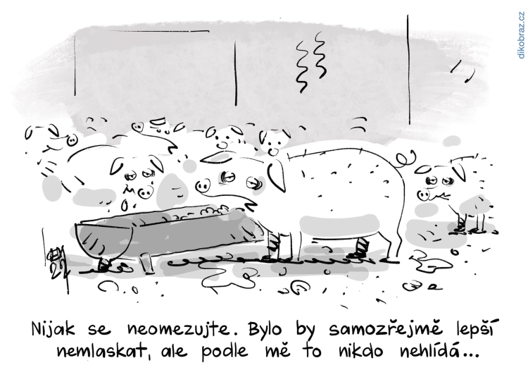 Miroslav Kemel vtipy č.54717 - 