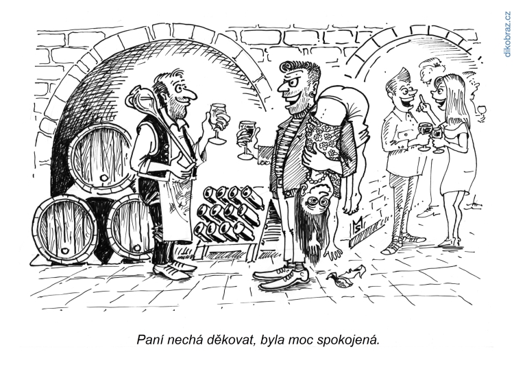 Miroslav Šuhaj vtipy č.57625 - 