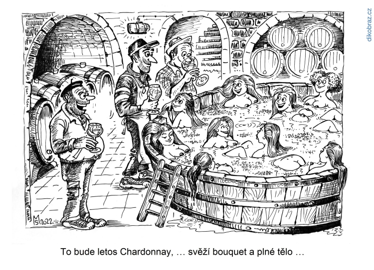 Miroslav Šuhaj vtipy č.57629 - 