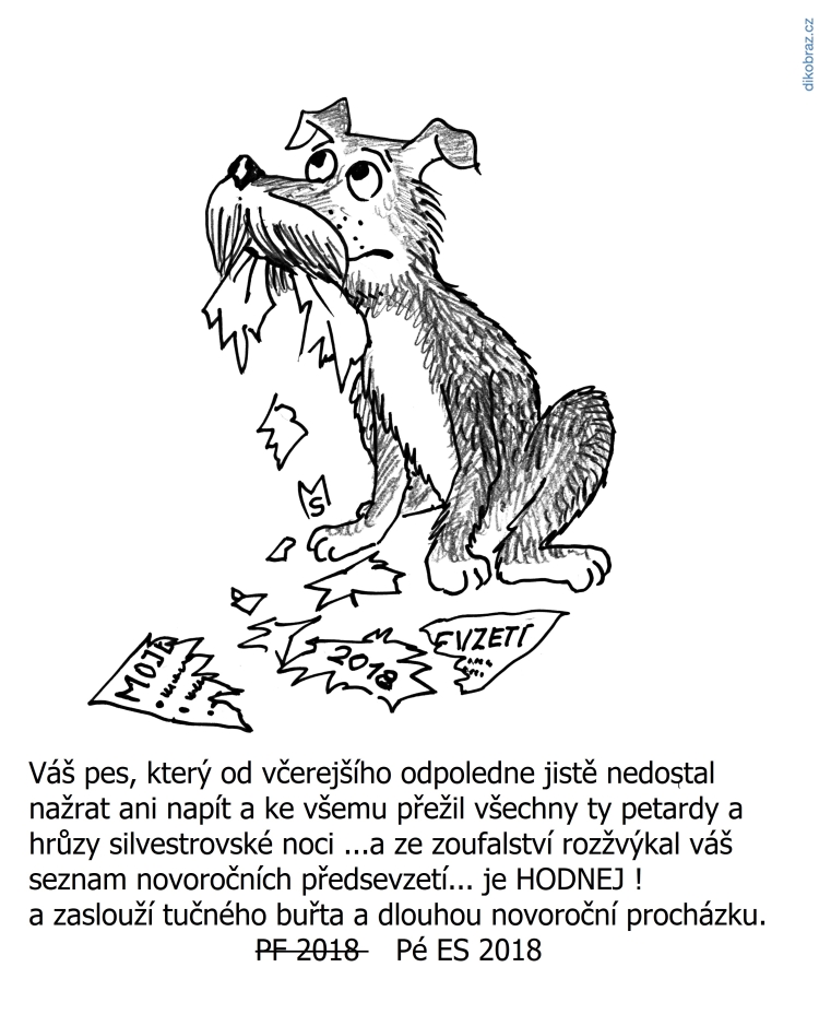 Miroslav Šuhaj vtipy č.5879 - Nový rok 2018