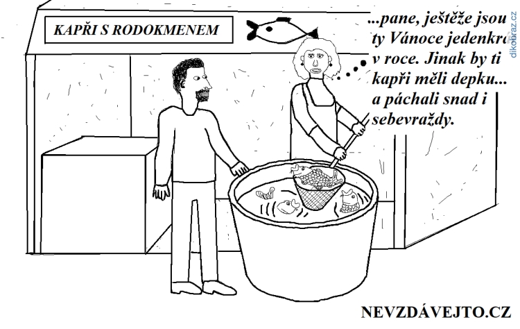 Nevzdavejto.cz vtipy č. - Vánoce 2018