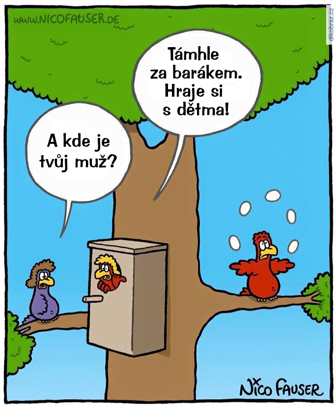 Nico Fauser vtipy č. - 
