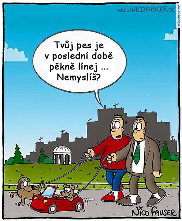 Nico Fauser vtipy č. - 