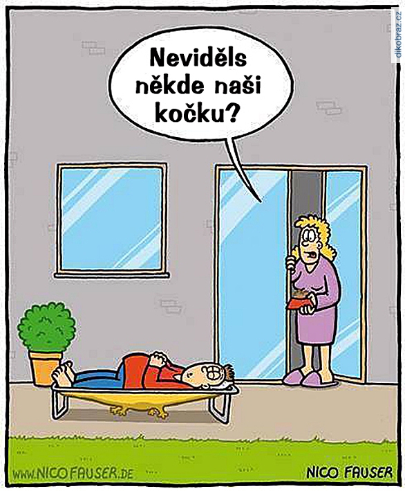 Nico Fauser vtipy č. - 