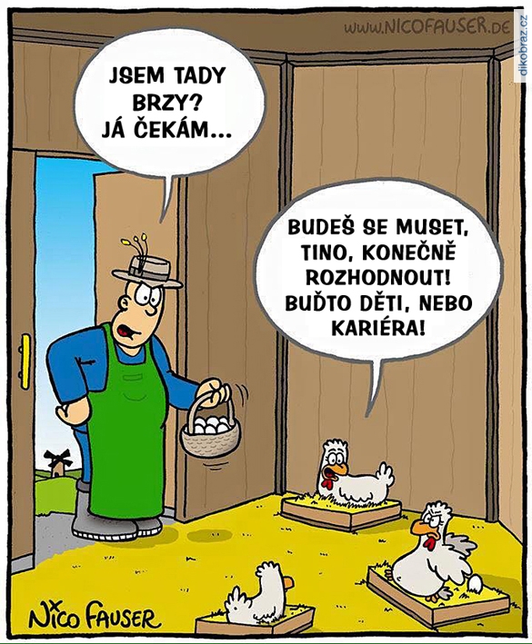 Nico Fauser vtipy č.75835 - 