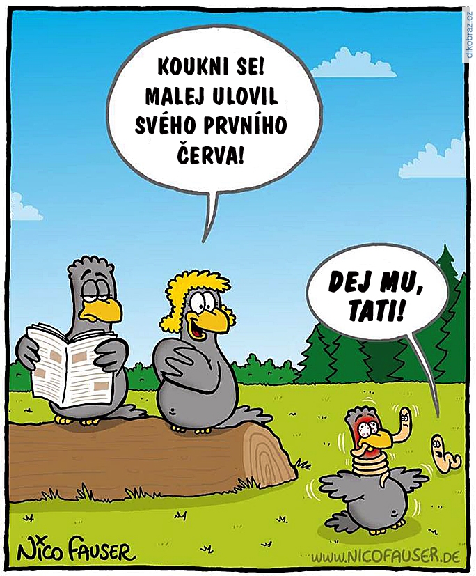 Nico Fauser vtipy č.76015 - 