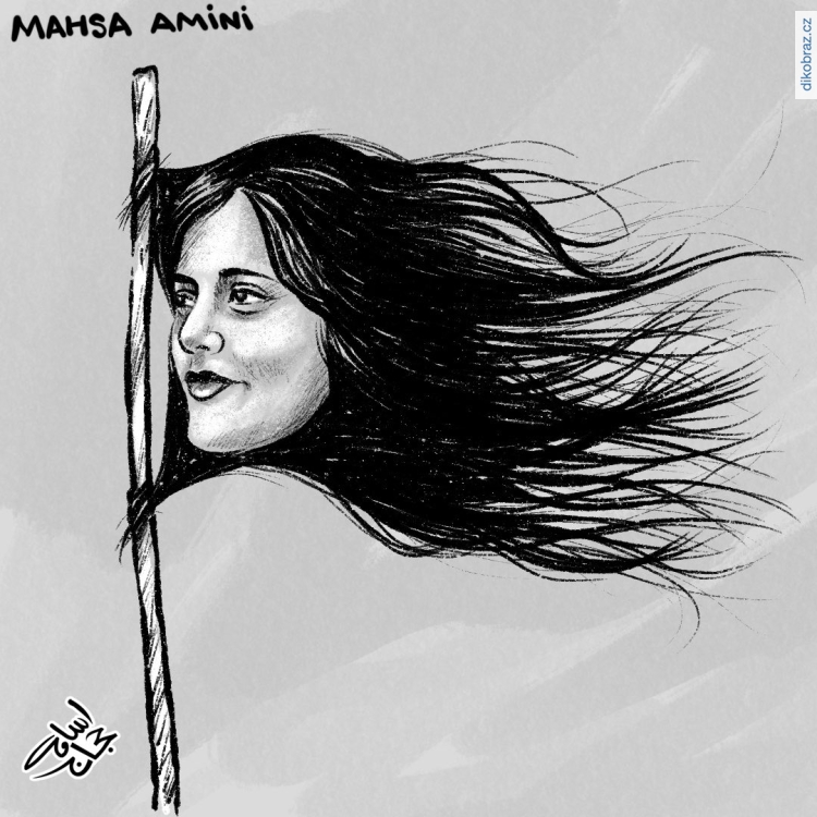 Osama Hajjaj vtipy č.54918 - Smrt Mahsi Amíníové