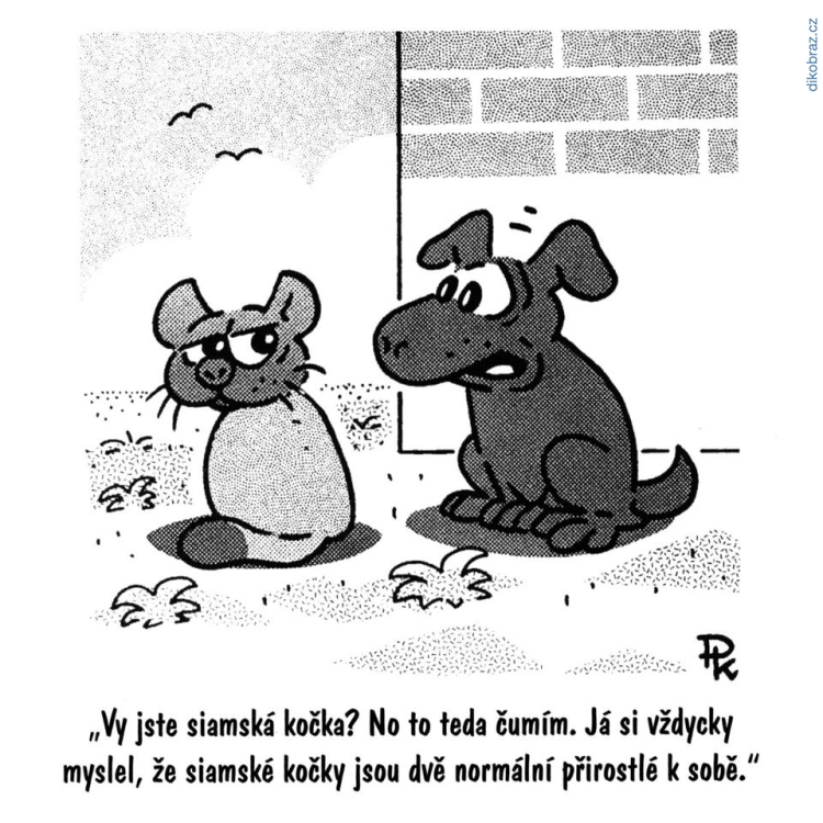 Pavel Kantorek vtipy č.1633 - 