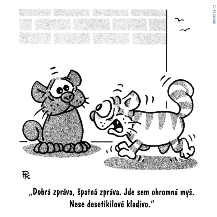 Pavel Kantorek vtipy č.1879 - 