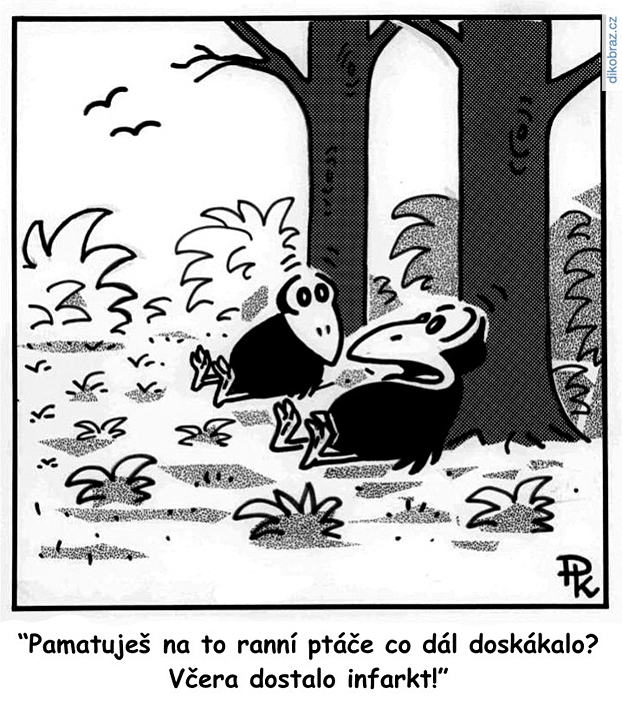 Pavel Kantorek vtipy č.56117 - 