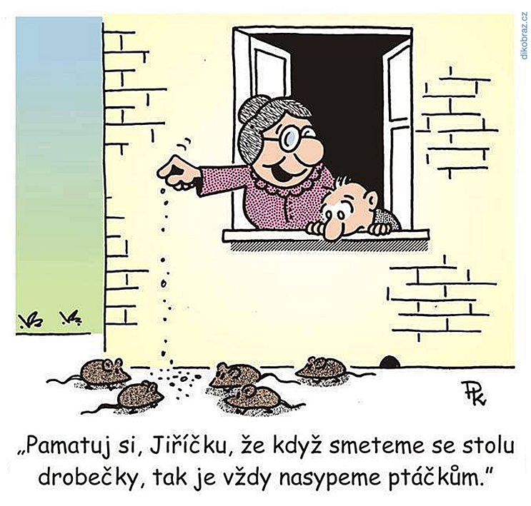Pavel Kantorek vtipy č.56145 - 