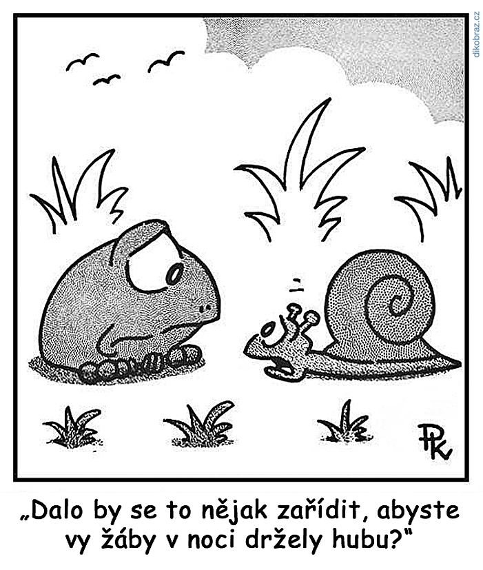 Pavel Kantorek vtipy č.56163 - 