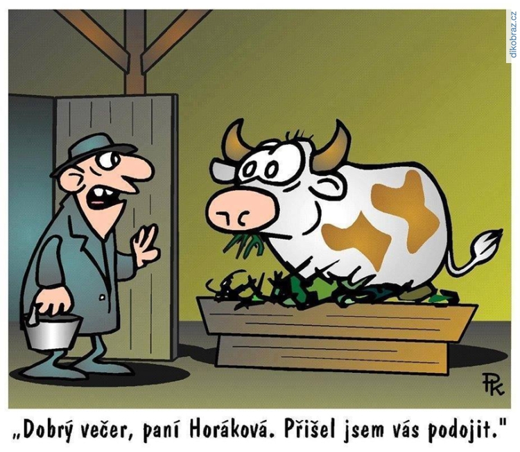 Pavel Kantorek vtipy č.56184 - 