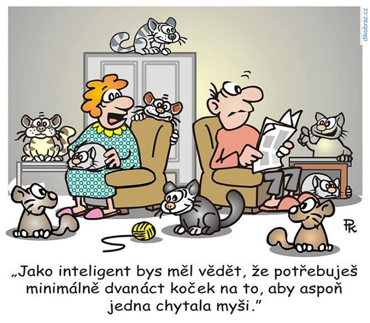Pavel Kantorek vtipy č.56197 - 