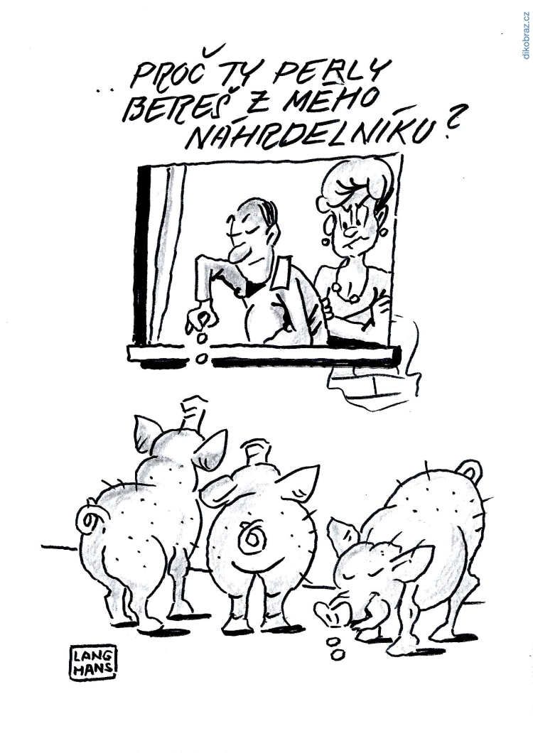 Pavel Langhans vtipy č.8298 - 