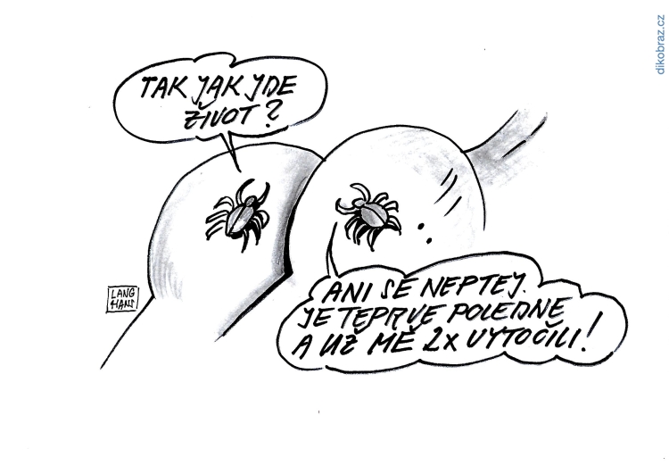 Pavel Langhans vtipy č.8784 - 