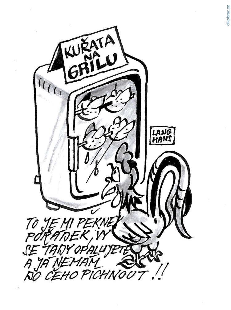 Pavel Langhans vtipy č.8903 -