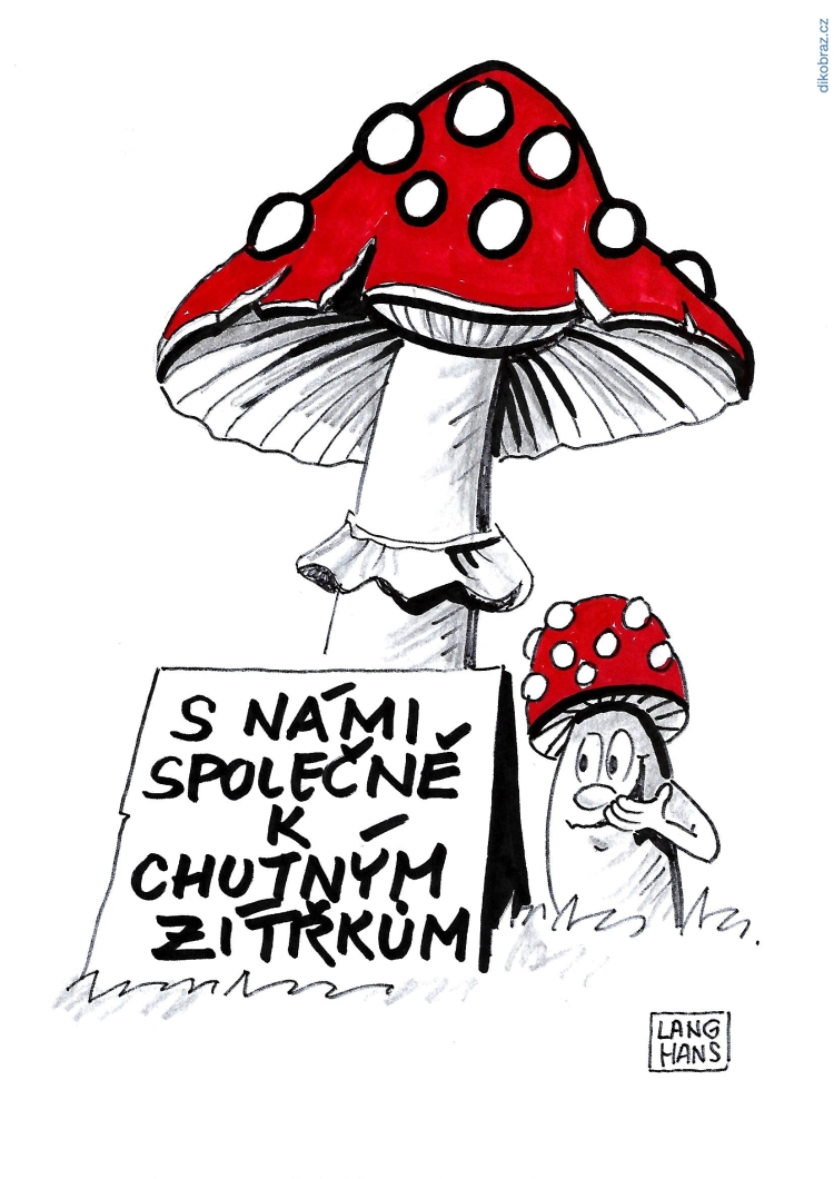 Pavel Langhans vtipy č.33771 - 