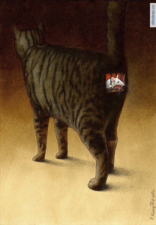 Pawel Kuczynski vtipy č.2142 - 