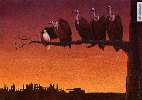 Pawel Kuczynski vtipy č.262 - 