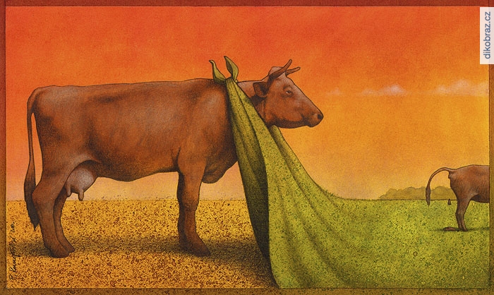 Pawel Kuczynski vtipy č.299 - 