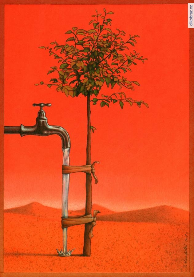 Pawel Kuczynski vtipy č.324 - 