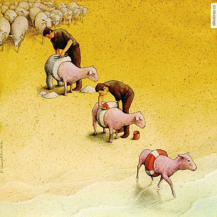 Pawel Kuczynski vtipy č.3611 -