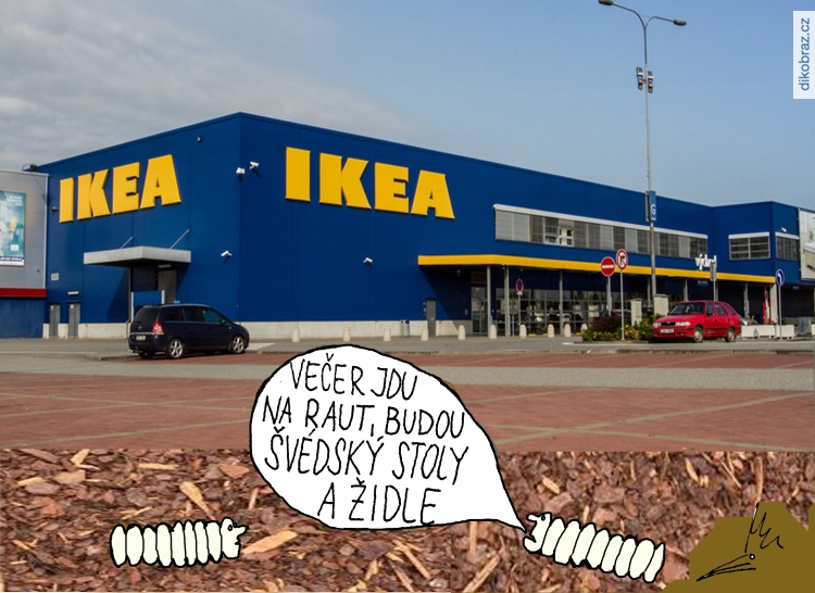 Petr Dudek vtipy č.46486 - 