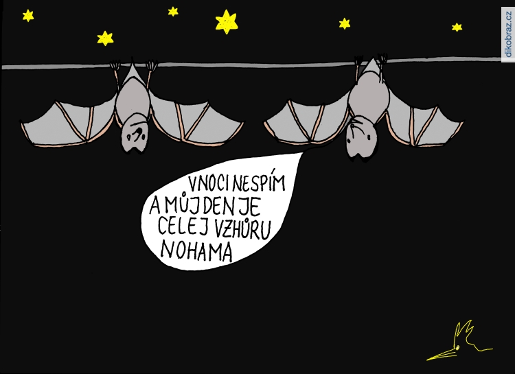 Petr Dudek vtipy č.46493 - 