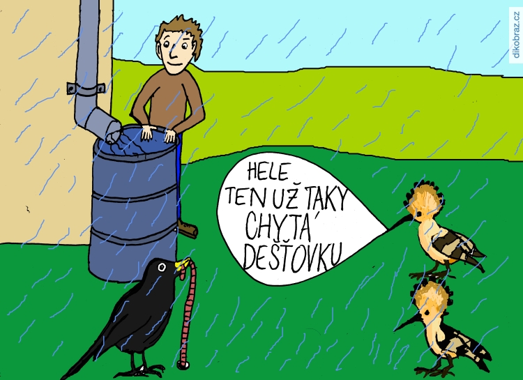 Petr Dudek vtipy č. - 