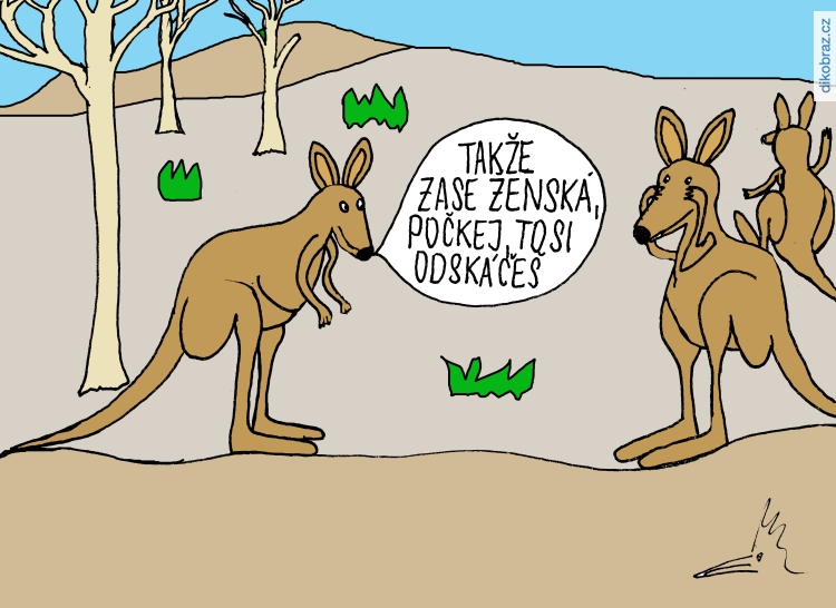 Petr Dudek vtipy č. - 