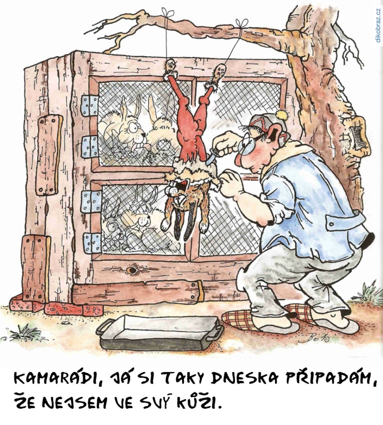 Petr Hrach vtipy č.1979 - 