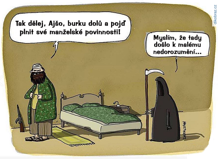 Piero Masztalerz vtipy č.79479 - 