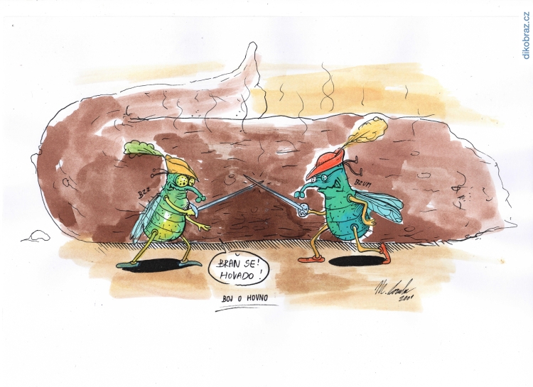 Poruba vtipy č.65838 - 