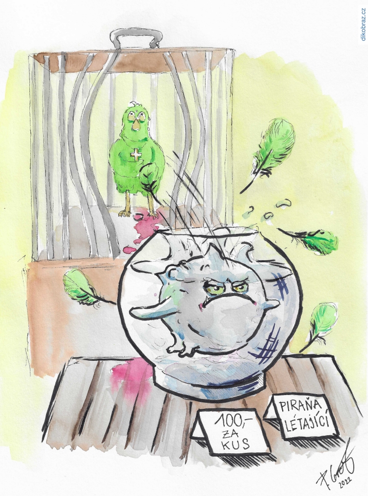 Přemysl Gráf vtipy č.48738 - 