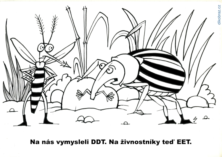 Radek Steska vtipy č.4824 - 
